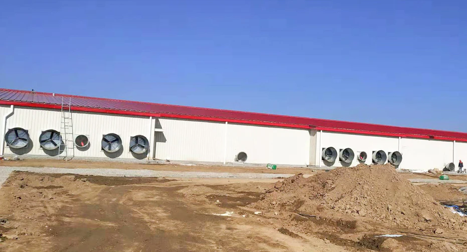 Steel Structure Pig Shed(图6)